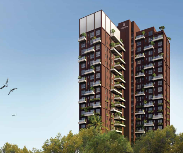 NPR visaaya - Image 2