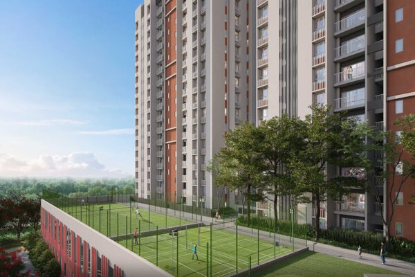 DTC Sojon - Image 6