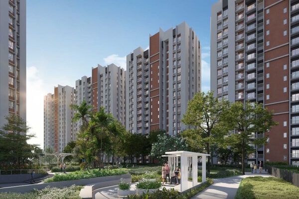 DTC Sojon - Image 5