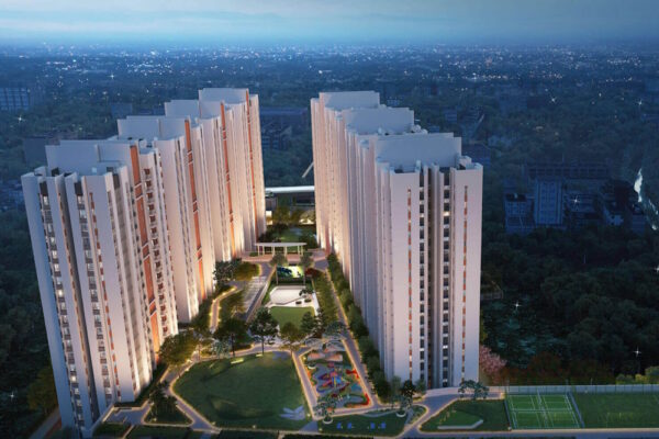 DTC Sojon - Image 2